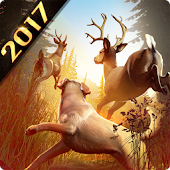 DEER HUNTER 2017