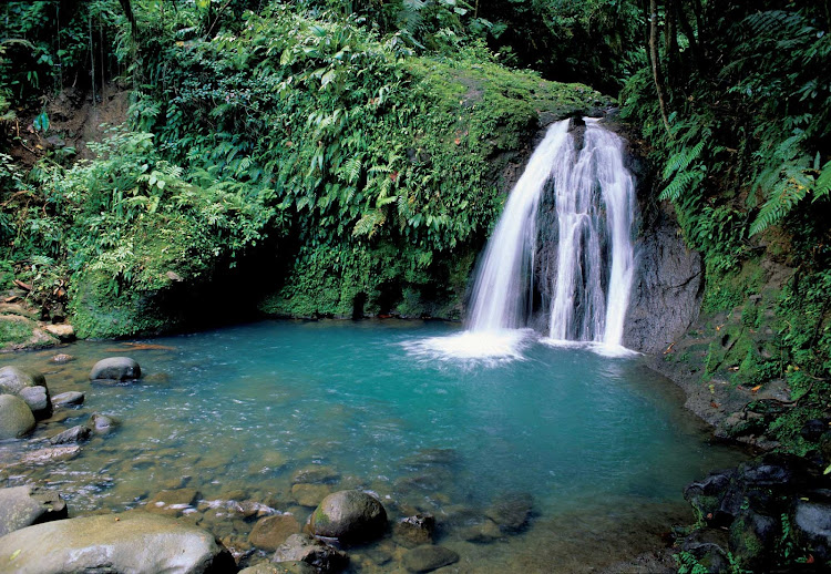 Visit tropical waterfalls in Guadeloupe National Park on Basse-Terre.