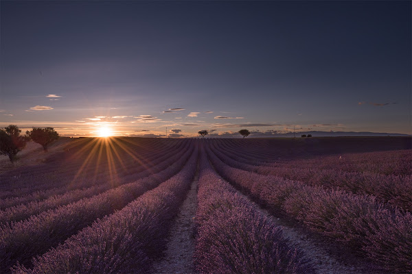 Tramonto a Plan de Valensole di Giancarlo Lava