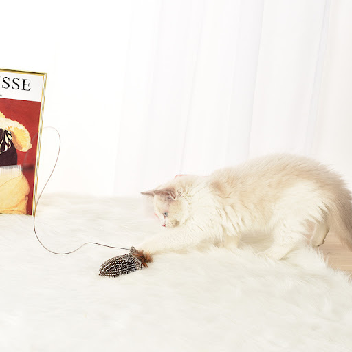 Title 5, Pet dog cat toy feather funny cat stick provide...