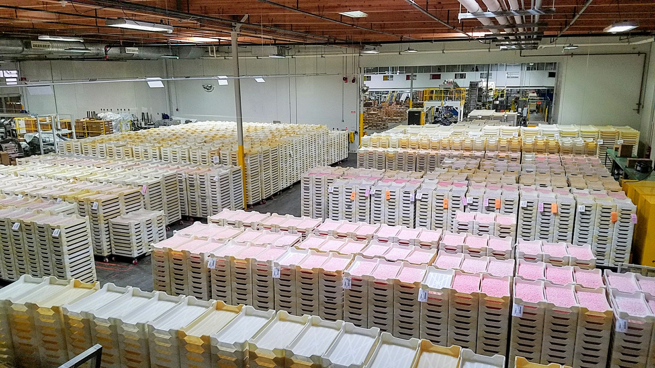 Inside the Jelly Belly Factory Tour in Fairfield, California