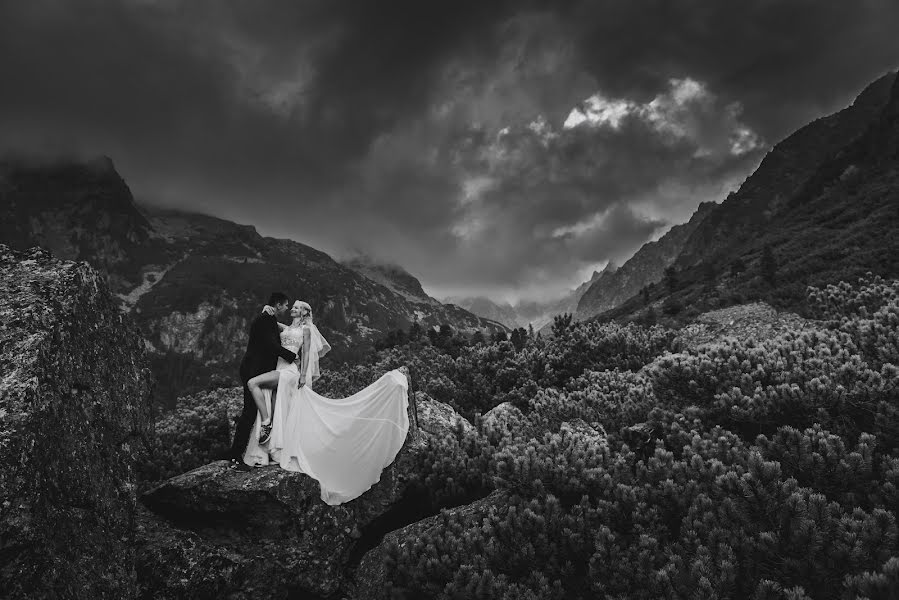 Photographe de mariage Maciej Niesłony (magichour). Photo du 21 janvier 2019