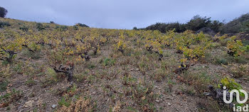 terrain à Banyuls-sur-Mer (66)