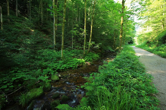 15 días por la Selva Negra y la Alsacia Francesa - Blogs de Alemania - Estrasburgo, Allerheiligen, Schauenburg y Offenburg -MARTES 4 DE JULIO (33)