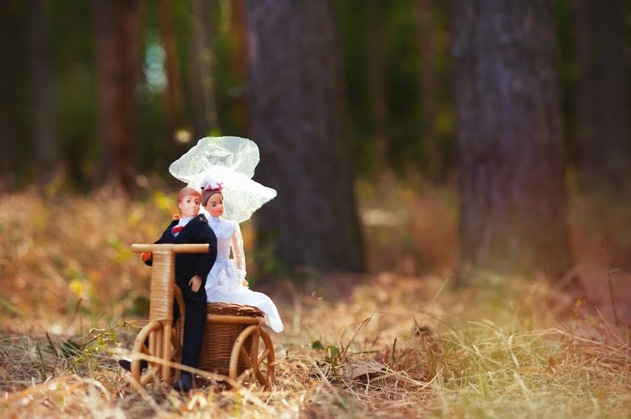 Fotógrafo de casamento Aleksandra Mukhotina (muhotina). Foto de 20 de julho 2015