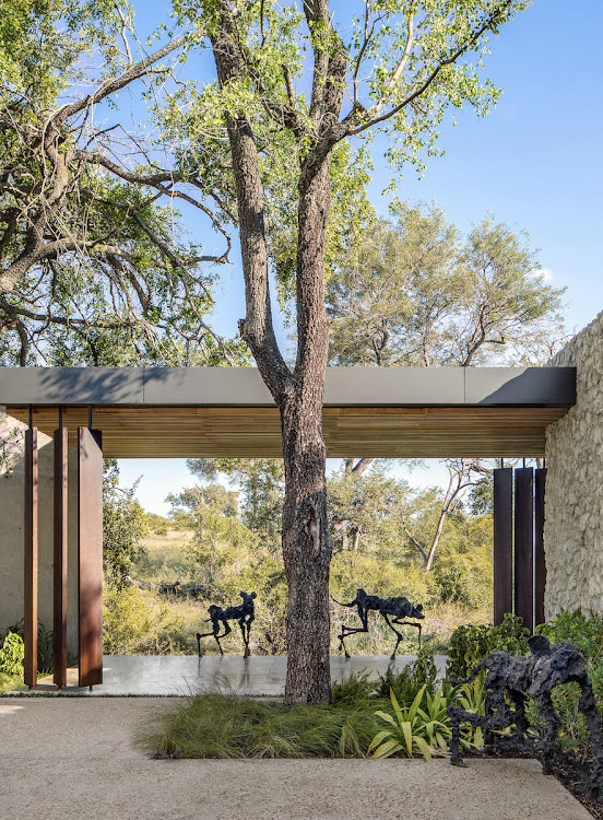 Sculptors around the luxury villas at Cheetah Plains.