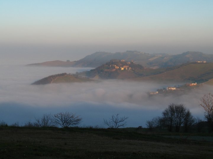 La nebbia vista dal sole di martelli-stefano