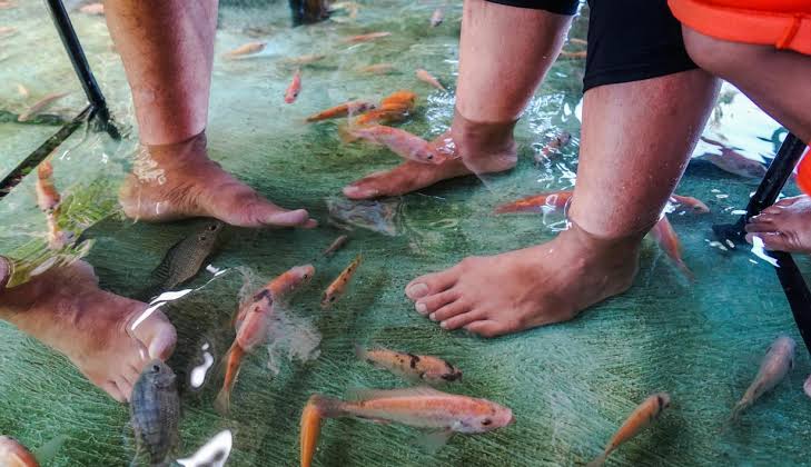 warung makan dengan kolam