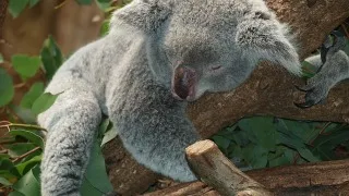 好多研究都指出睡眠對精神非常重要，平均每日要瞓6-8小時，咁樣亦都有助提升讀書同工作嘅效率。但係，好多香港人都會唔夠瞓，搞到12點後先瞓，其實咁樣對大家第二朝嘅精神都有好大影響。