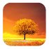 Awesome Land Pro LiveWallpaper 2.9.8