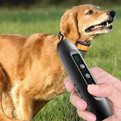 Máy Đuổi Chó Bằng Sóng Siêu Âm Tsattine N10 Dog Obedient High Power Ultrasonic