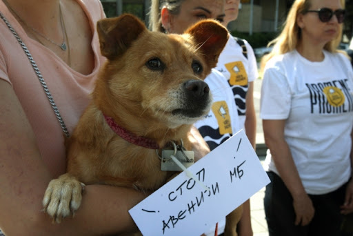 Kreni - Promeni traži zabranu rada firme Avenija MB