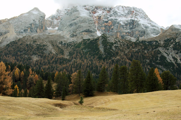 la prima neve lassù di tatiana morello