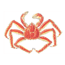 King Crab