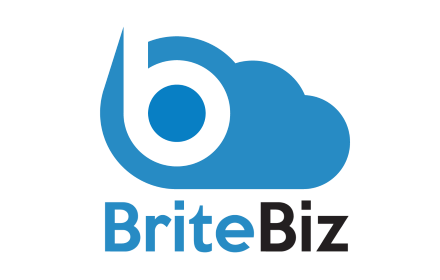 BriteBiz.com Preview image 0