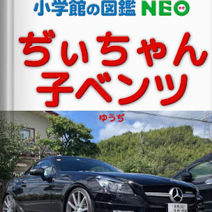 SLK R172