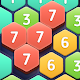 Hexa Puzzledom