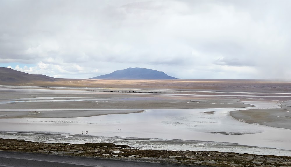 LAGUNAS DE COLORES:RESERVA NACIONAL DE FAUNA ANDINA EDUARDO AVAROA. BOLIVIA - CHILE: Atacama ( con extensión a Uyuni) y Carretera Austral (30)