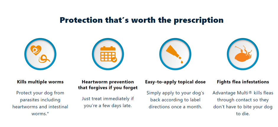 Heartworm prevention for Dogs: which medicine is best