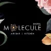 Molecule Air Bar