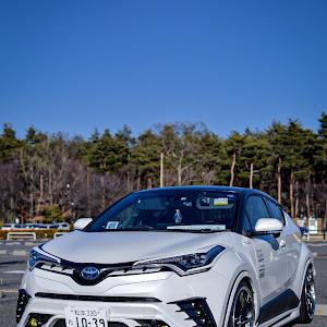 C-HR ZYX10