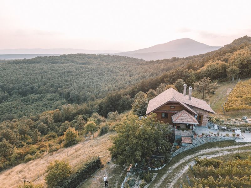 Свадебный фотограф Bence Bálint (benceandbara). Фотография от 5 февраля 2019