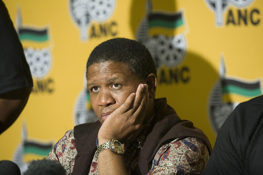 Fikile Mbalula. File Photo