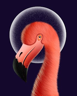 Furry Flamingo