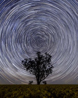 In Sight of Stars: Spirals