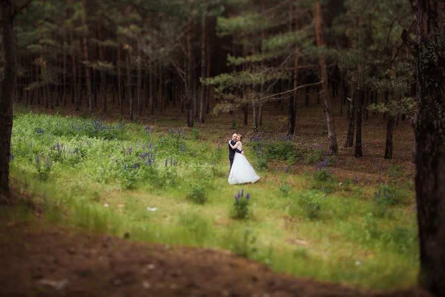 Свадебный фотограф Даша Антипина (fotodaa). Фотография от 16 июня 2016