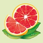 Cover Image of 下载 Reference book of fruit trees 3.6.2 APK