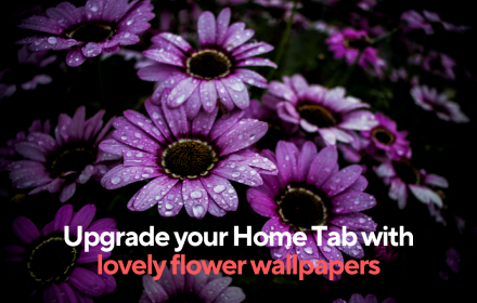 Beautiful Flower Wallpapers - New Tab small promo image