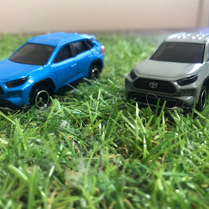 RAV4 MXAA54