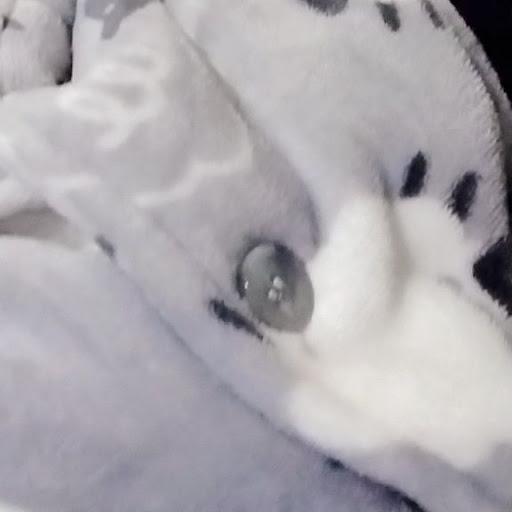 いれりすもち