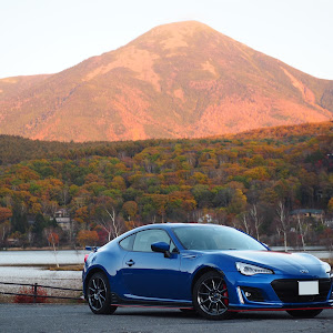 BRZ ZC6