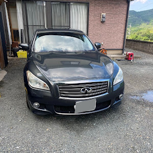 フーガ Y51