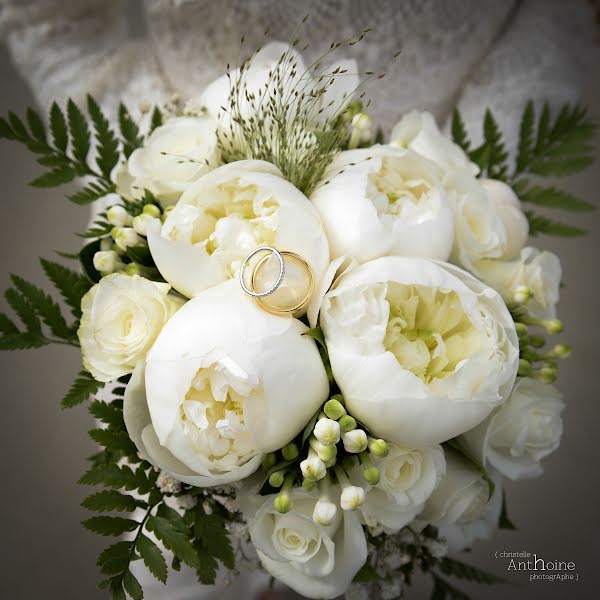 Photographe de mariage Christelle Anthoine (anthoine). Photo du 20 mai 2015