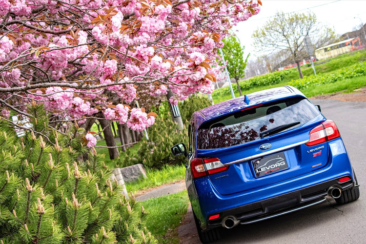 レヴォーグのPENTAX K-1MarkⅡ撮影・風景と愛車・桜と愛車・早朝カメ活・札幌市に関するカスタム事例の投稿画像11枚目