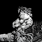 Item logo image for DIO