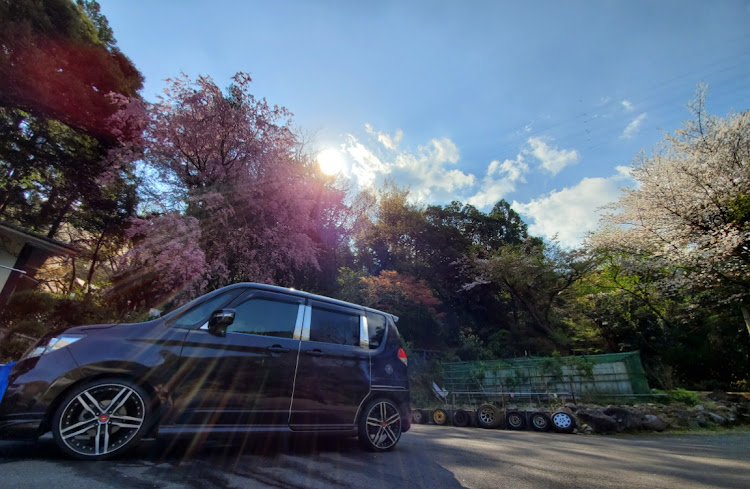 ソリオの桜と愛車・洗車・SPROコーティングに関するカスタム事例の投稿画像1枚目