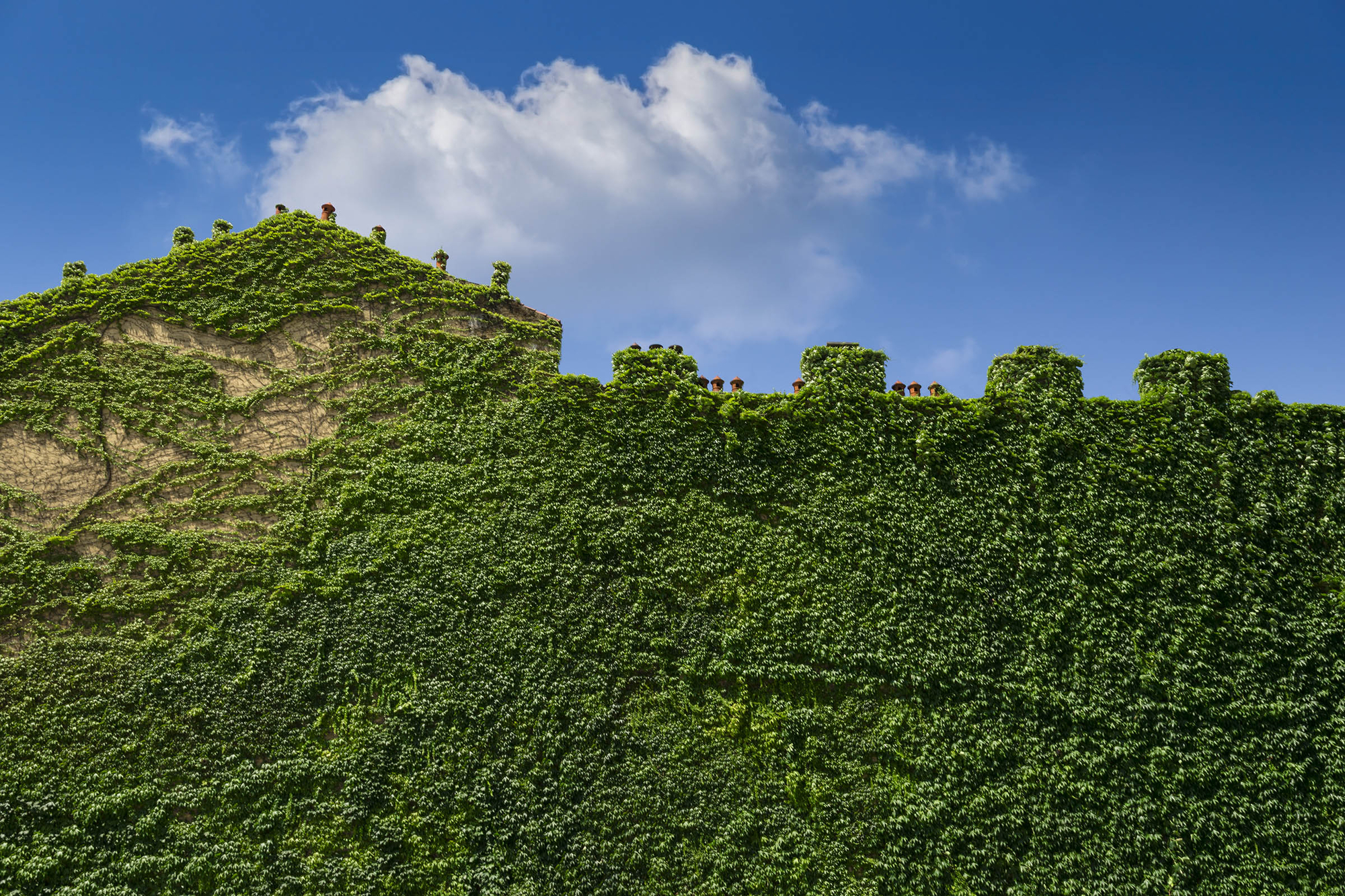 Green and Blue di Enrico Fermi Chicco