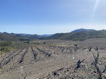 terrain à Saint-Paul-de-Fenouillet (66)