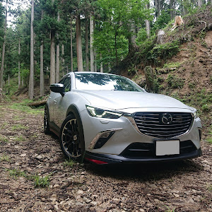 CX-3 DK5FW