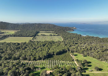 propriété à Porquerolles (83)