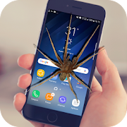 Spider On Screen Scary Joke - Hissing Joke 1.0 Icon