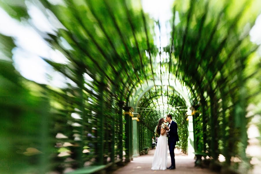 Fotógrafo de casamento Dasha Chu (dashachu). Foto de 4 de agosto 2017