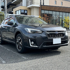 XV GT7
