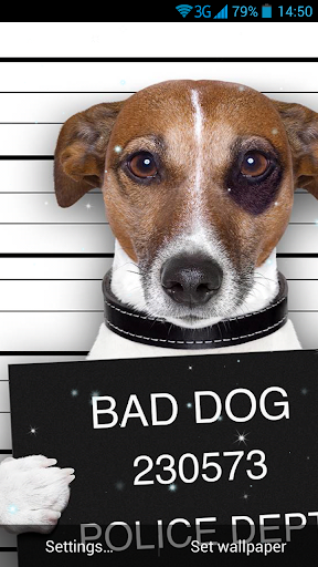 Funny Bad Dogs Live Wallpaper