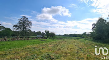 terrain à Peillac (56)