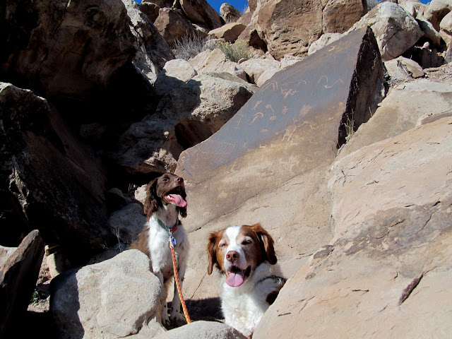 Boulder and Torrey near a petroglyph boulder